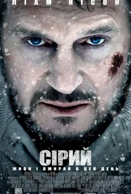 Сірий / Сутичка