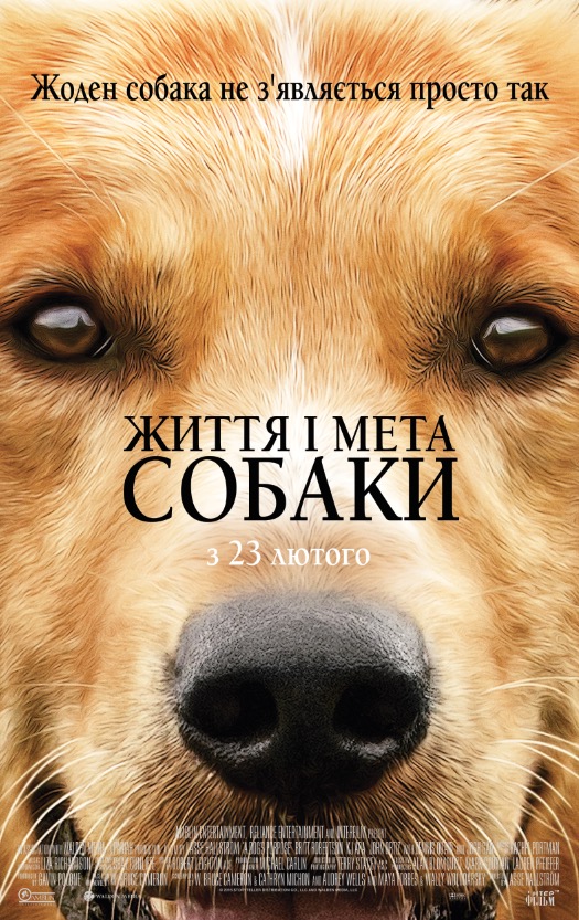 Собачья жизнь